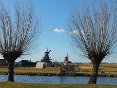 DutchCountrySide (557)